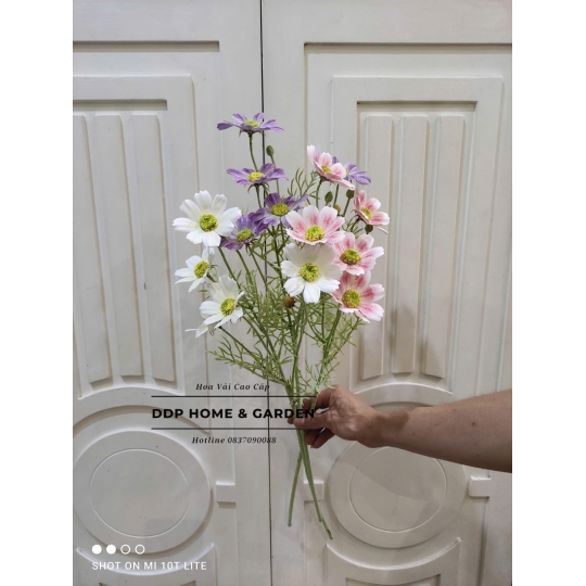 Cành cúc cánh bướm 5 bông (0566)
