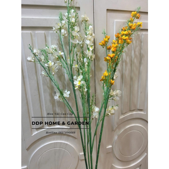 Cành hoa thanh liễu vải (0202)