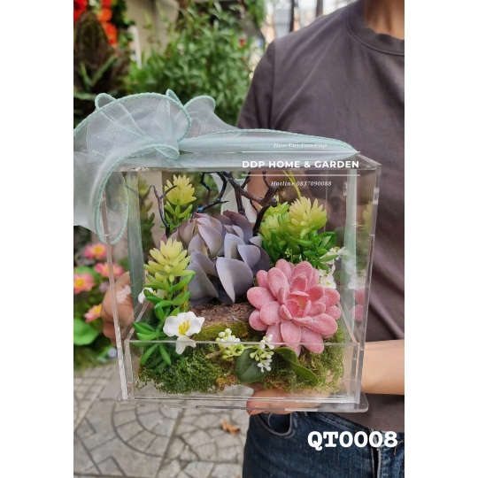 Box hoa sen đá hồng (QT0008)