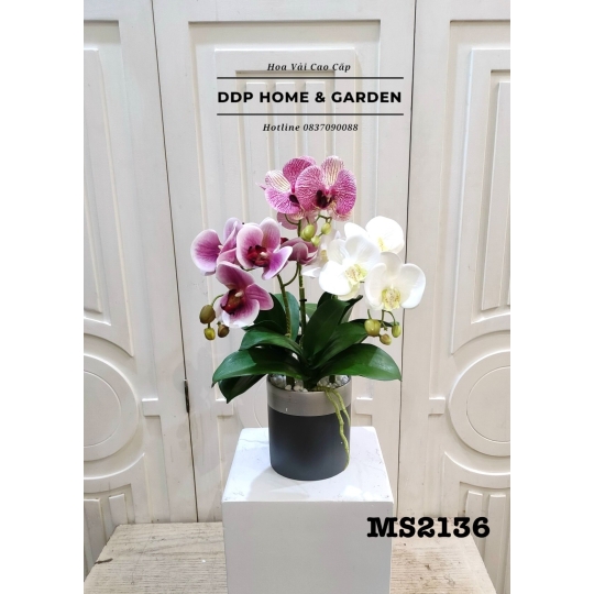 Bình hoa lan hồ điệp để bàn (2136)