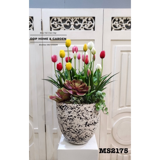 Chậu hoa tulip nhiều màu (2175)