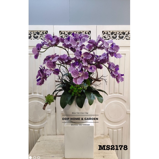 Chậu hoa lan vanda tím (2178)