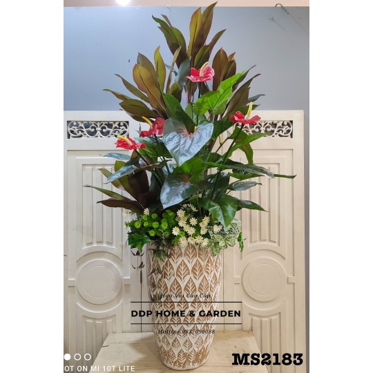 Chậu cây hồng môn giả