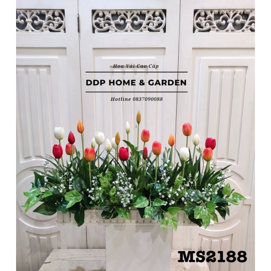 Bụi hoa tulip (2188)