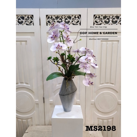 Bình hoa lan hồ điệp nhập khẩu (2198)