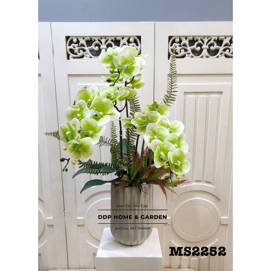 Chậu hoa lan hồ điệp xanh (2252)