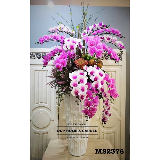 Chậu hoa lan hồ điệp nhập khẩu (2376)