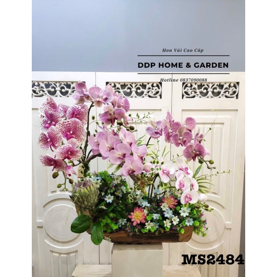 Chậu hoa lan hồ điệp cao cấp (2484)