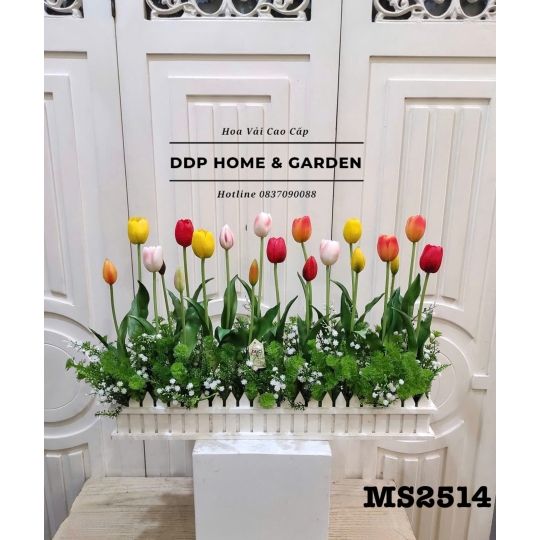 Bụi hoa tulip (2514)