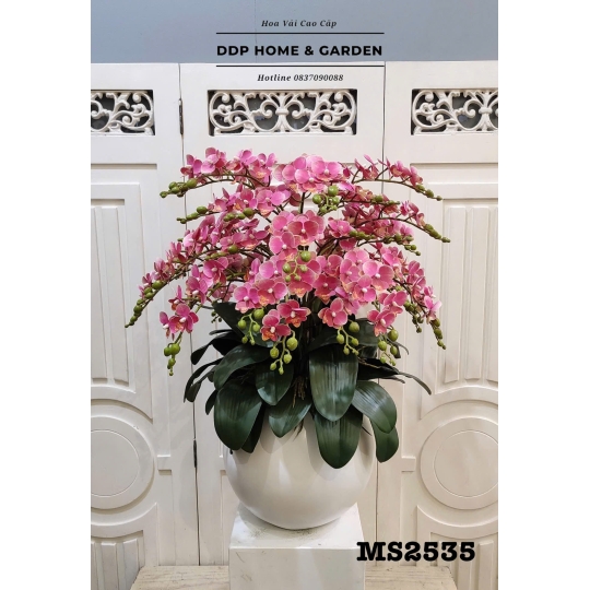 Chậu tiểu hồ điệp (hoa lụa cao cấp 2535)