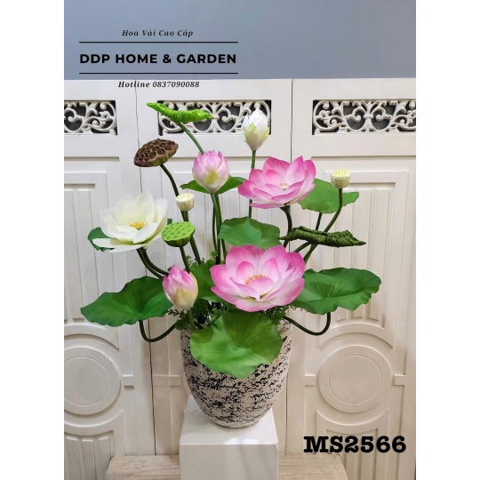 Chậu hoa sen cao cấp (2566)
