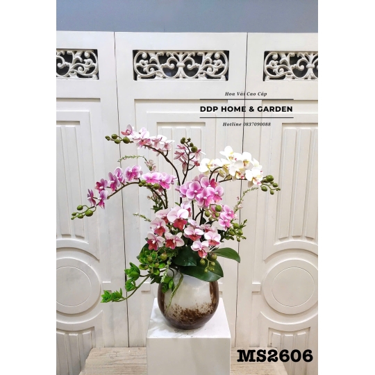 Chậu hoa tiểu hồ điệp (2606)