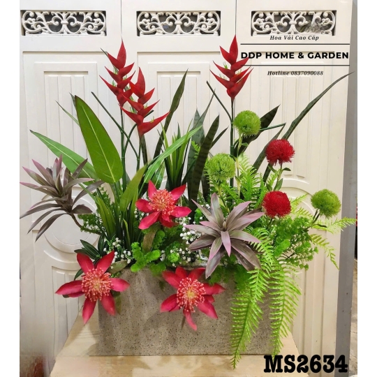 Chậu cây thiên điểu và lưỡi hổ (2634)