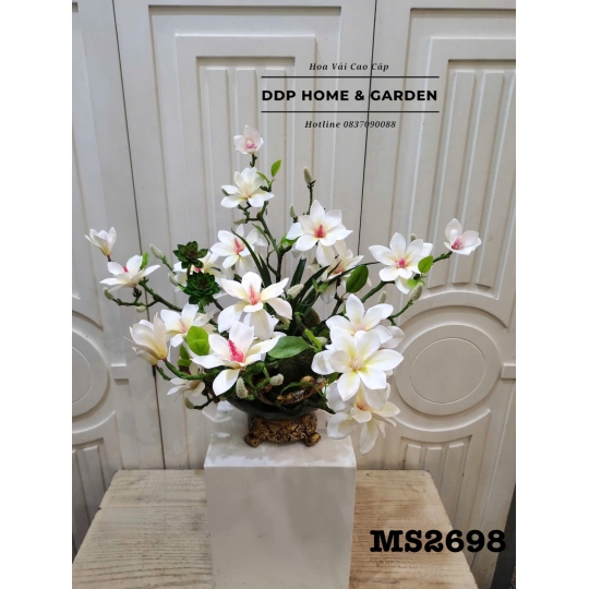 Chậu hoa ngọc lan trắng (2698)
