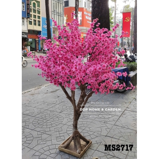 Cây hoa đào hồng (2717)