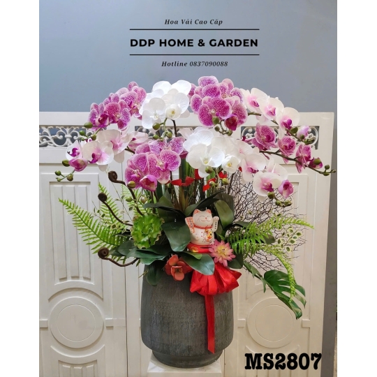 Chậu hoa lan hồ điệp trắng hồng (2807)