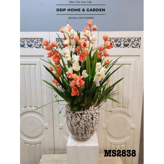 Chậu hoa địa lan cam (2838)