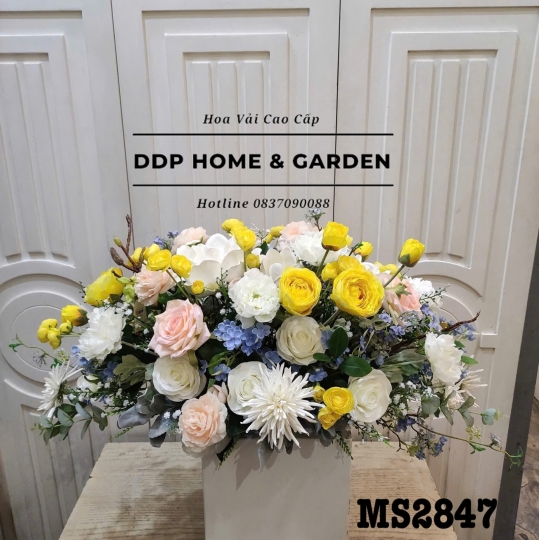 Dĩa hoa mộc lan và mao lương (2847)
