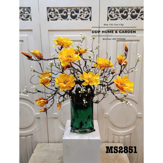 Chậu hoa mộc lan vàng (2851)