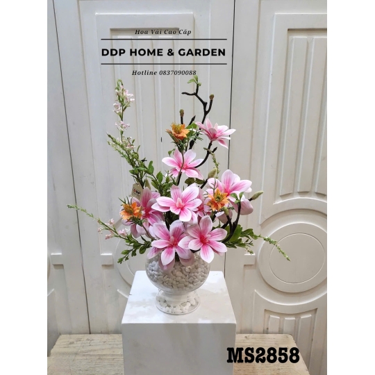 Chậu hoa ngọc lan để bàn (2858)