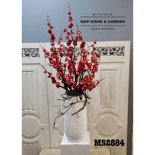 Chậu hoa đào đỏ kép (2884)