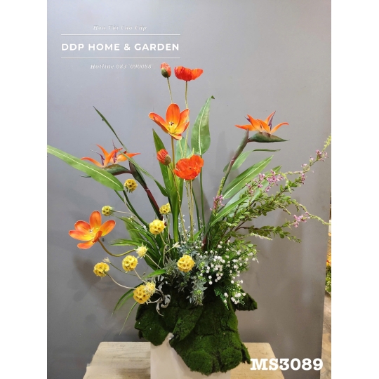 Cụm hoa tulip (3089)