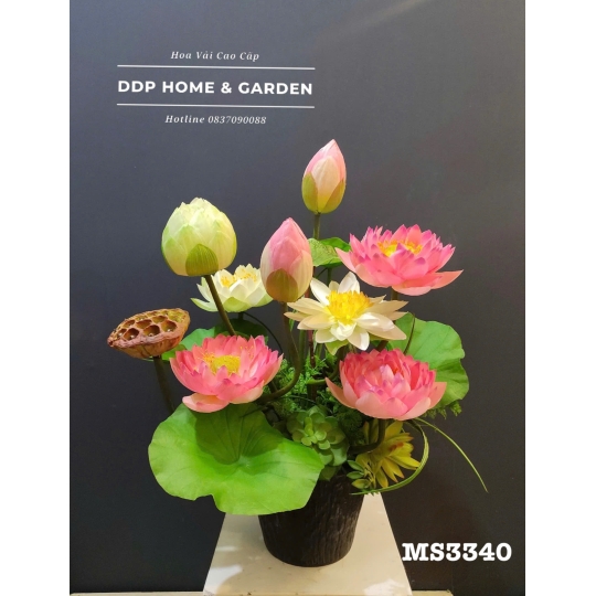 Chậu hoa súng mi sn (3340)