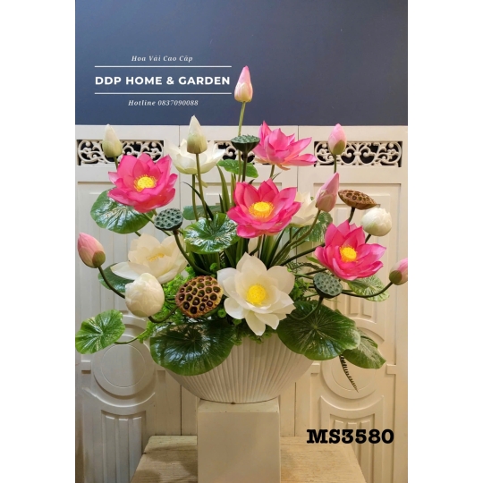 Chậu hoa sen trắng hồng (3580)