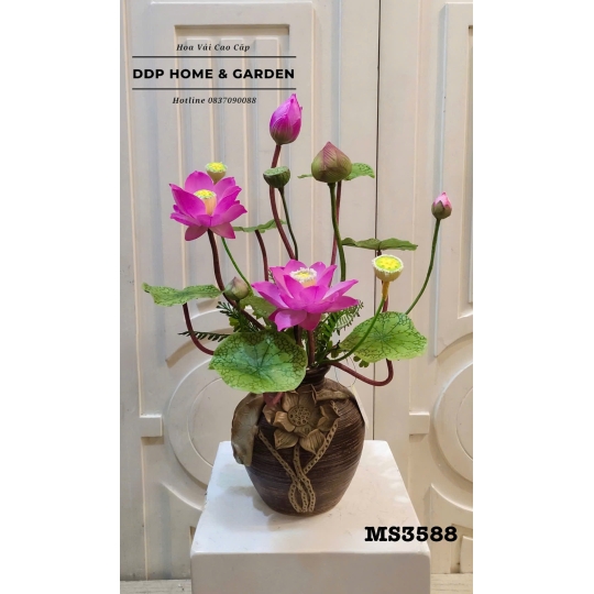 Chậu sen thái hồng để bàn (3588)