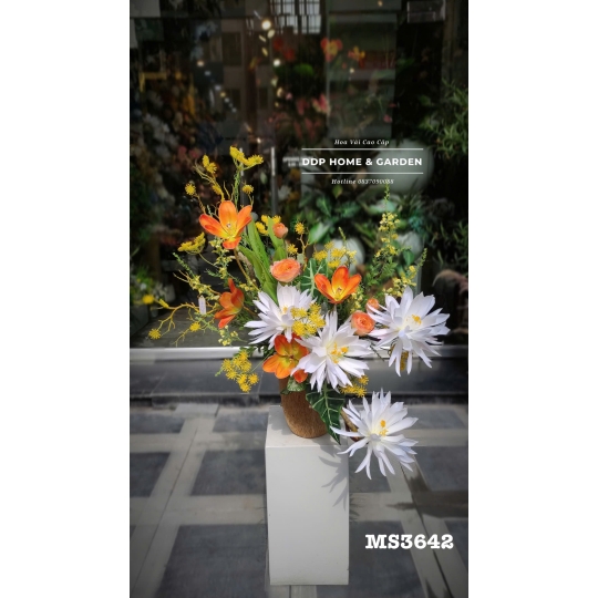 Chậu hoa quỳnh mix tulip (3642)