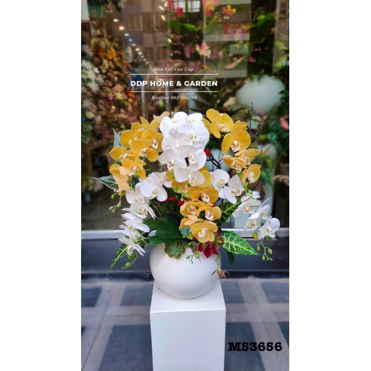 Chậu hoa lan hồ điệp nhân tạo (3656)