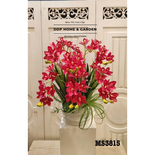 Chậu hoa địa lan đỏ (3815)
