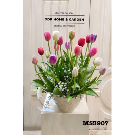 Chậu hoa tulip cao su (3907)