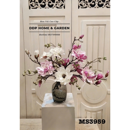 Chậu hoa mộc lan trắng hồng (3959)