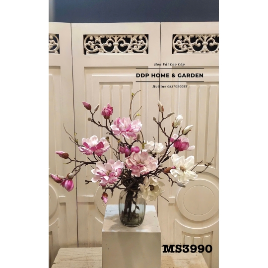 Chậu hoa mộc lan trắng mix hồng (3990)