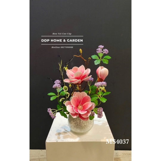 Chậu hoa mộc lan hồng (4037)