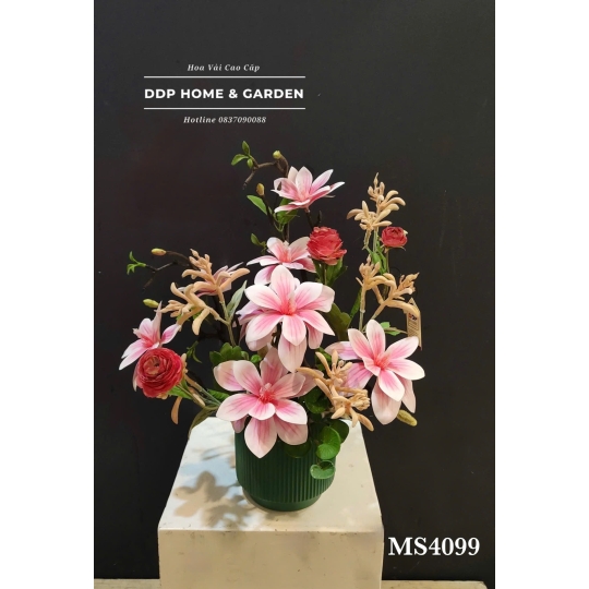 Chậu hoa mộc lan hồng (4099)