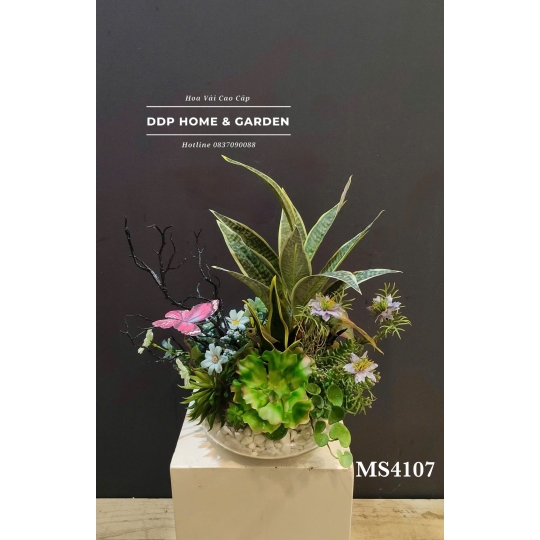 Chậu hoa sen đá để bàn (4107)