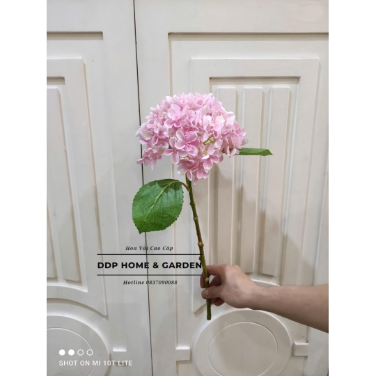 Cành hoa tú cầu nhỏ (0556)