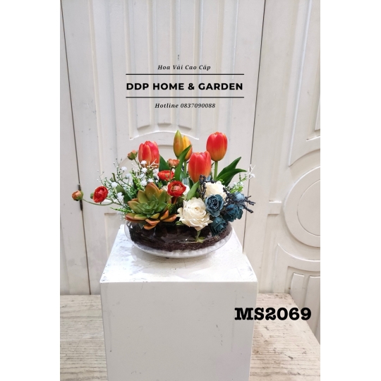 Chậu hoa tulip để bàn (2069)