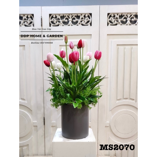 Chậu hoa tulip để bàn 