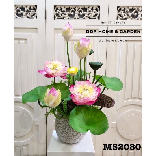 Chậu hoa sen bách diệp (2080)