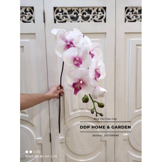 Cành hoa lan hồ điệp cao cấp