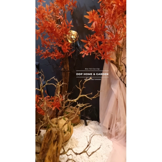 Tiểu cảnh decor (14)